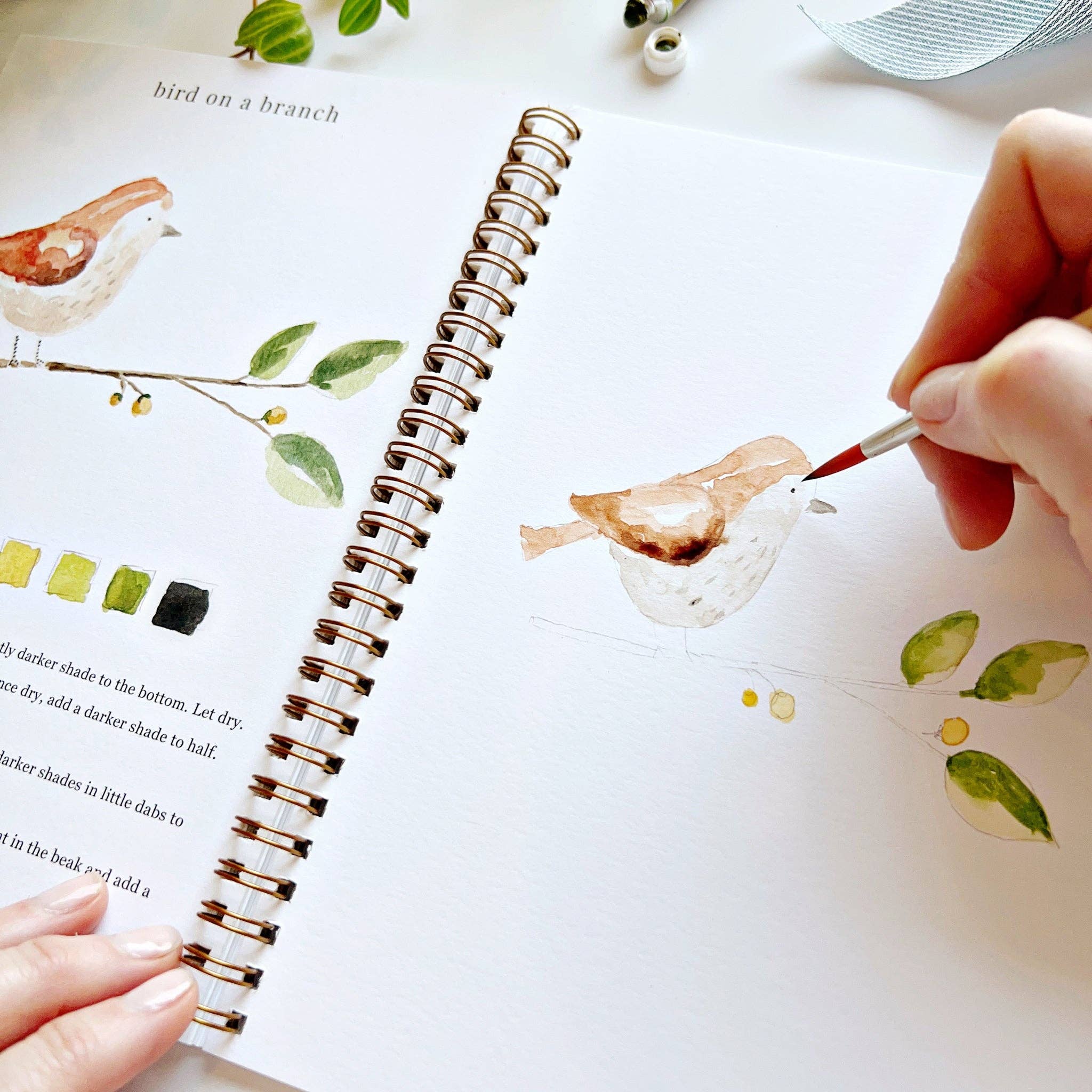 Animals Watercolor Workbook Set