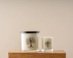 Element Tree Essentials -  Citrus Sage Lotion Candle