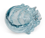 Lagoon Glass Seashell