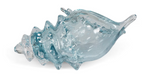 Lagoon Glass Seashell