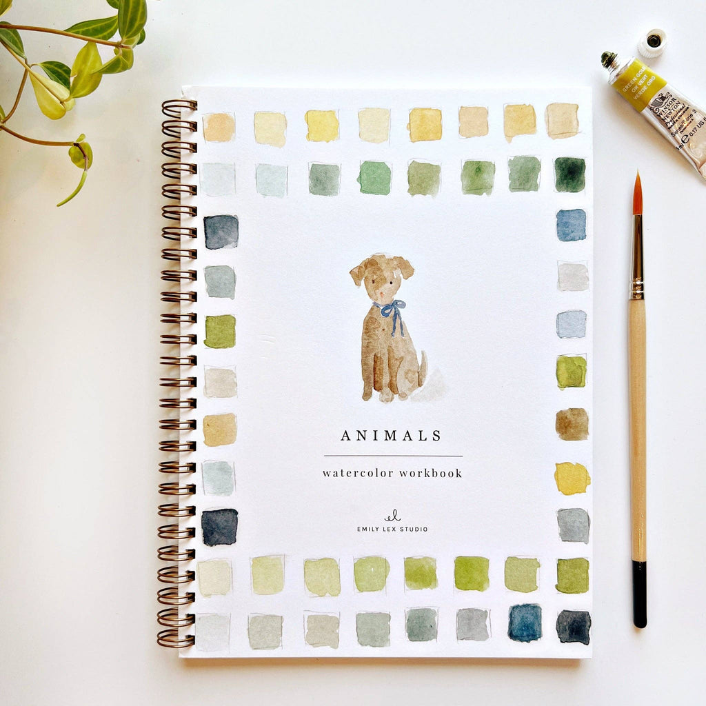 Animals Watercolor Workbook Set