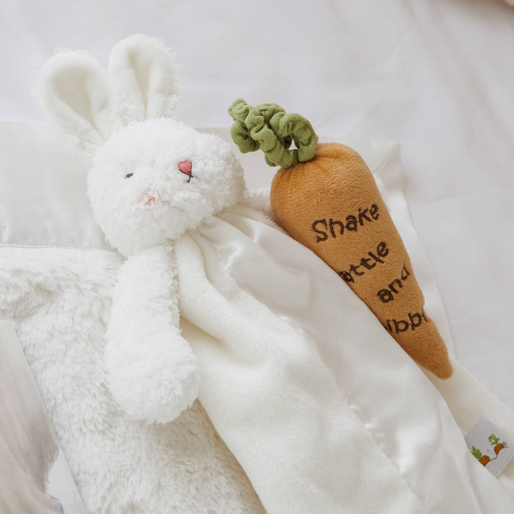 Bun Bun Bunny Bye Bye Buddy