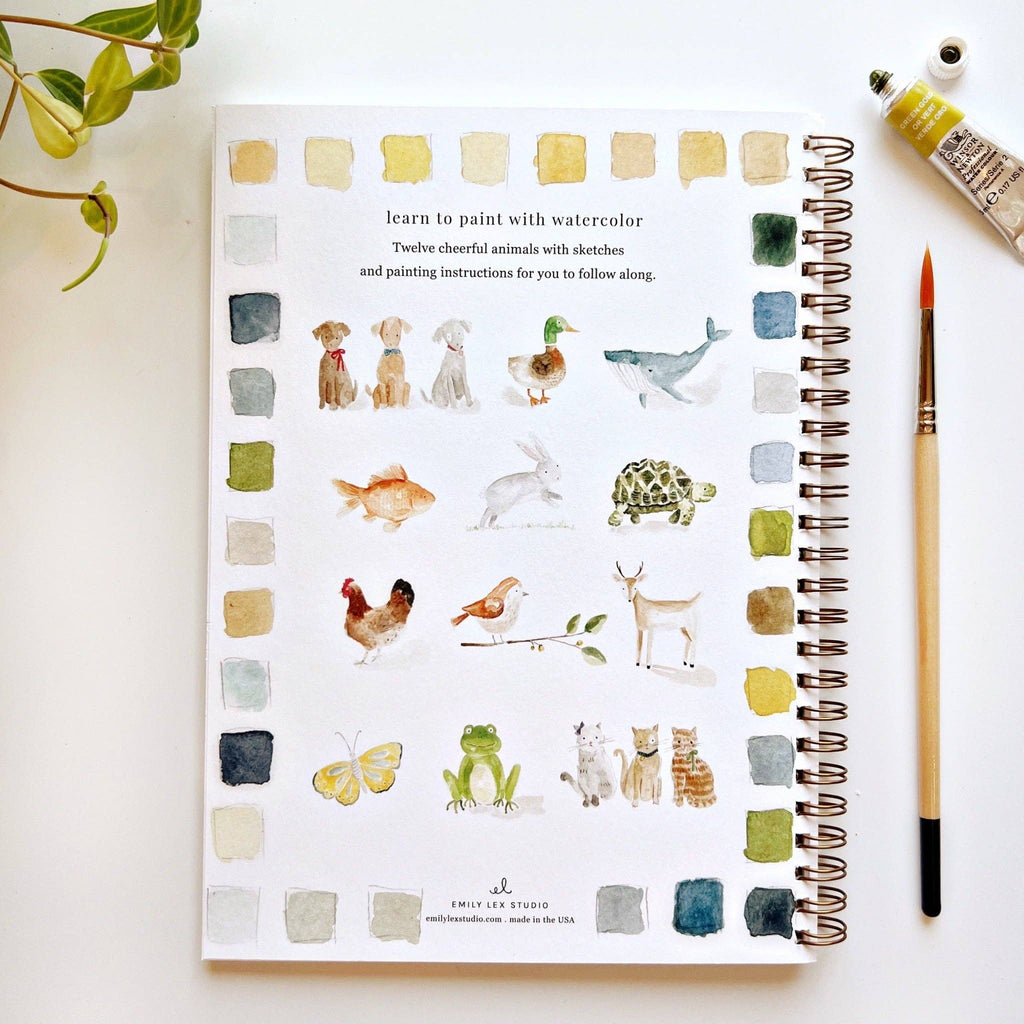 Animals Watercolor Workbook Set