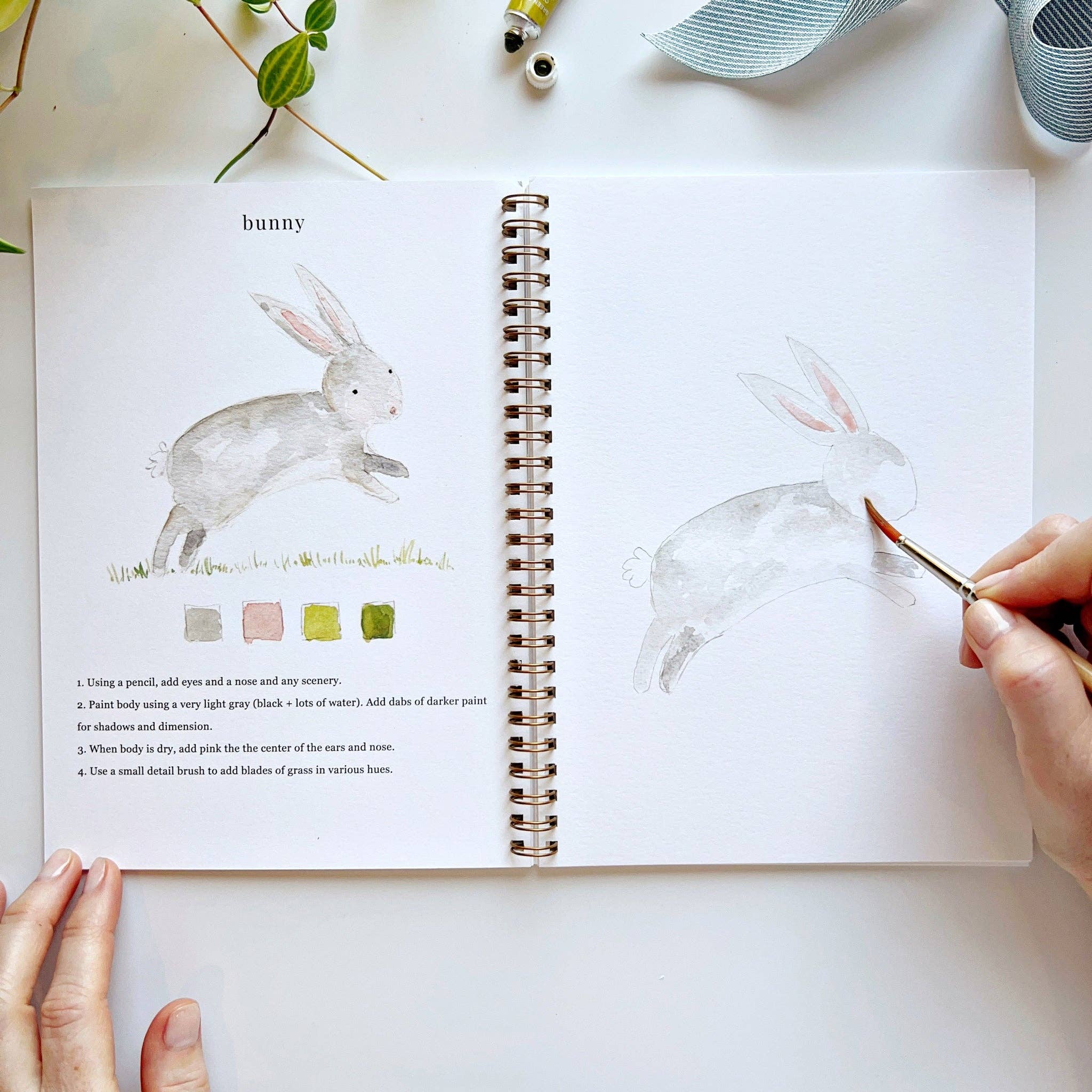 Animals Watercolor Workbook Set