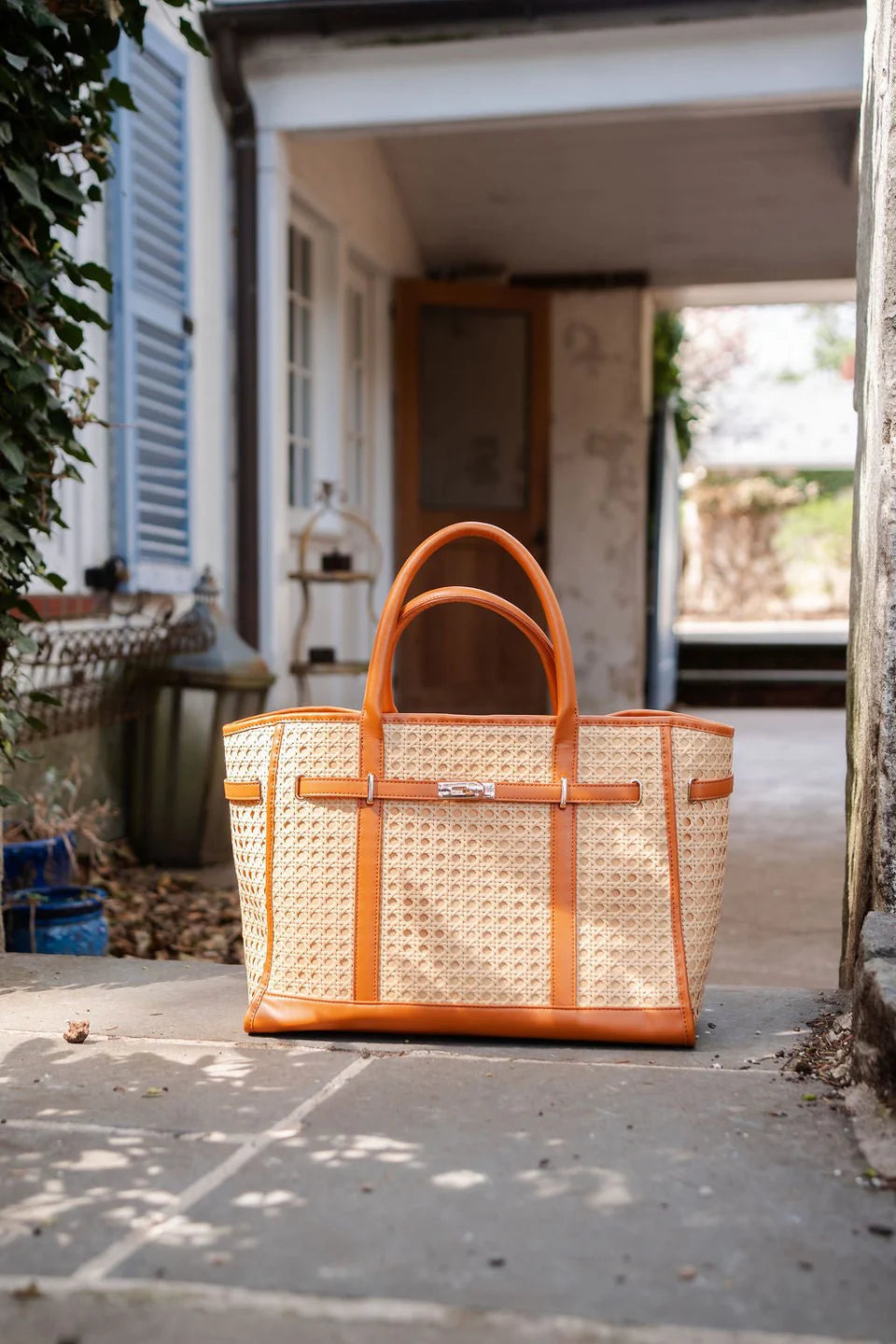 Lisi Lerch Palmer - Cane Tote Bag
